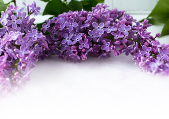 Lilac frame with space for text. Floral frame on a white background.