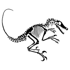 Skeleton of a Velociraptor. Animal reptile bones, silhouette isolated