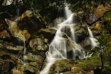 Cascading Waterfall Framed With Foliage
