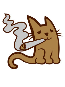 Kiffende s&uuml;&szlig;e kleine Katze 