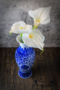 Three Calla Lilies in a Vase