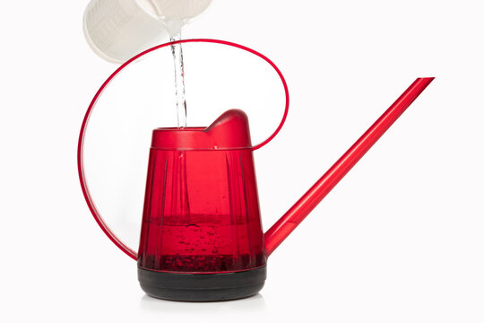 Red Plastic Watering Can Isolated On White Background, Being Filled With Water From An Overhead White Pitcher