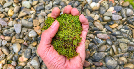 HAND HOLDING GREEN GRASS ON A BACKGROUND OF STONES
