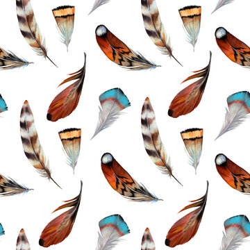 stylish seamless pattern of wild bird feathers. Watercolor feathers of an owl, jay, etc. For advertising, paper, textiles, etc.