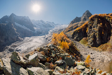 Mountains with autumnal trees and glacier. Peak of mountain and glacier