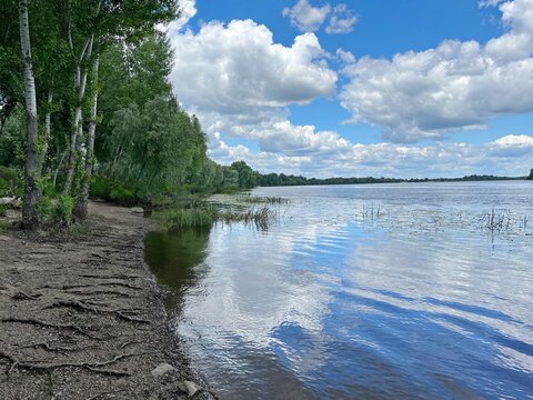 Lake in the woods. Clouds reflection in calm river water. Idyllic summer nature. River bank overgrown with tree roots.