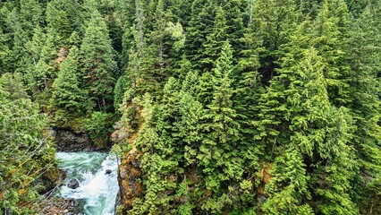 Kleanza Creek, Terrace, British Columbia, Canada 