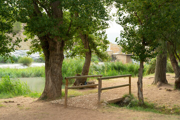 the little bamboo bridge in the forest next to the river, the forest background with the wooden bridge, the green park with a lot of trees and a footpath