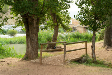 the little bamboo bridge in the forest next to the river, the forest background with the wooden bridge, the green park with a lot of trees and a footpath