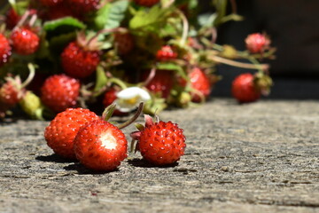 Wild strawberry on wooden background. Fragaria vesca