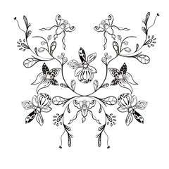 Fototapeta premium Black and white floral design element. Orchid flowers 