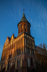 Symbol of the city of Kaliningrad - Cathedral