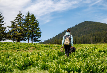 Girl in suit walks with dog of Rottweiler breed along meadow with mountain vegetation, against background of trees