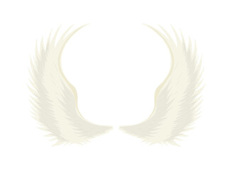 elegant angel wings