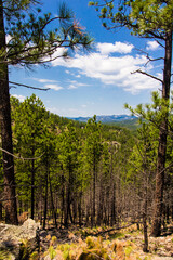 Heddy Draw Overlook, Custer State Park, South Dakota