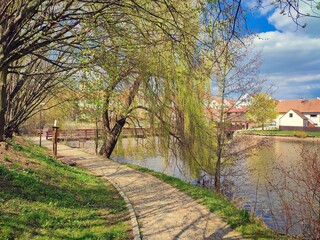 Historical romantic path with trees of Telc (Telč) town. UNESCO. South Moravia, Czech republic, Middle Europe.