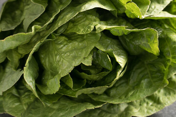 Healthy food, green leaf lettuce salad top view