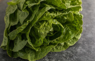 Healthy food, green leaf lettuce salad top view