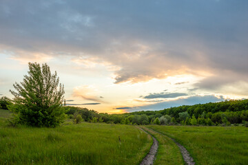 Green forest at spring , grass on the ground , trees . Beautiful clouds , stormy clouds ,sky with clouds . Summer landscape , summer forest ,spring colors of the nature . 