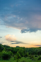 Green forest at spring , grass on the ground , trees . Beautiful clouds , stormy clouds ,sky with clouds . Summer landscape , summer forest ,spring colors of the nature . 