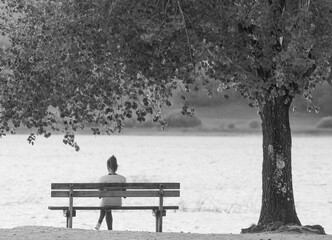jeune femme assise sous un arbre au bord d'un lac en automne