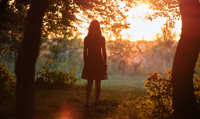 Fototapeta premium Rear view of young woman in walking alone through dark woods at bright sunset. Nature exploration concept