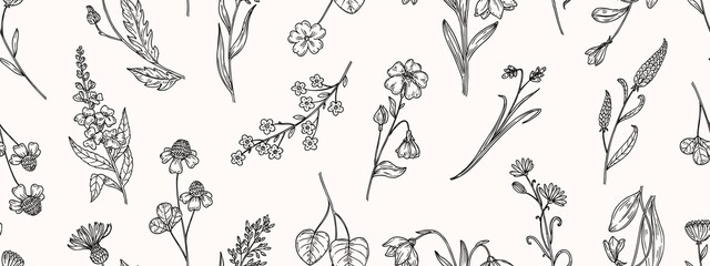 Wild flowers seamless pattern. Sketch flower background, hand drawn floral garden elements. Vintage banner, vector border template
