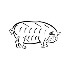 pig outline vector template isolated on white background