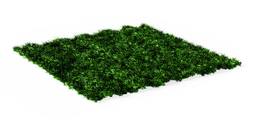 Square shaped green grass lawn, 3d render