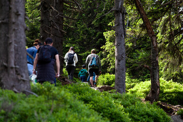 Obraz premium Tourists hiking at nature green forest mountain trail.