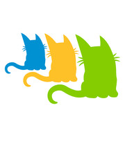 3 bunte kleine Katzen 