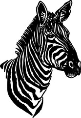 Vector portrait of zebra looking right isolated on white, graphical element