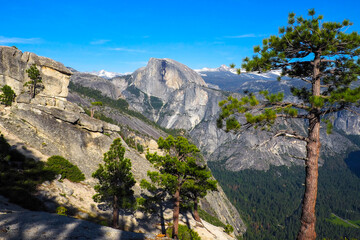 Fototapeta na wymiar View of Half Dome from the top of Yosemite Falls with a lone pine tree in front. Sunny day in Yosemite National Park, California, USA. American bucket list. Traveling in southwest,