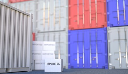 Carton with IMPORTED text and many containers, 3D rendering