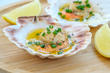King scallop in shell