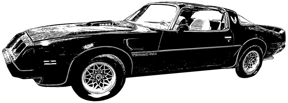 Pontiac Trans Am with T tops 1979 illustration in black on white background 