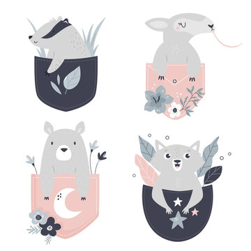 Vector illustrations of a cute bear, anteater, badger and wolf sitting in little pockets