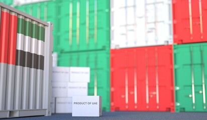 Box with PRODUCT OF UAE text and cargo containers. 3D rendering