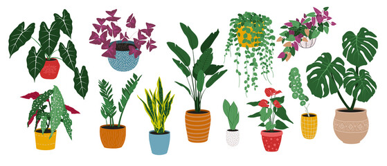 Set of housplants flat vector illustration.