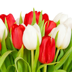 Fototapeta premium bouquet of tulips