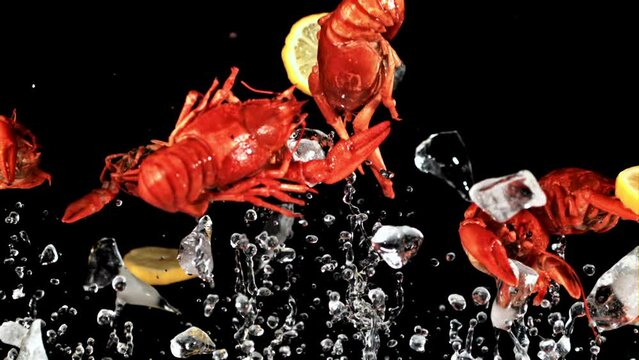 Boiled crayfish with pieces of lemon and ice rise up and fall. On a black background. Filmed is slow motion 1000 fps.