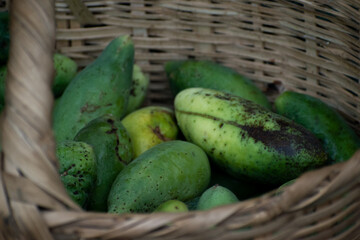 Colombian fruit, green Curuba from Turmequé Boyacá, in a hand-woven chusque basket.