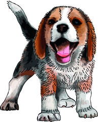 Uśmiechnięty pies rasy beagle. - obrazy, fototapety, plakaty