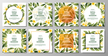 Set of square backgrounds with yellow plumeria flowers. Tropical frangipani plant. Banner, poster, flyer, postcard. Summer illustration