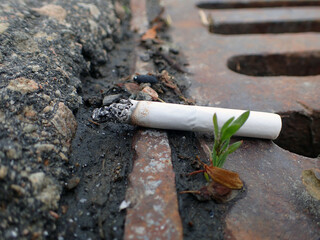 un vieux mégot de cigarette sur le sol
