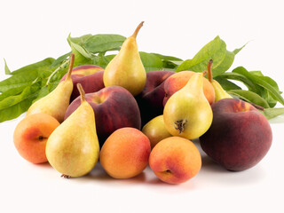 Fresh seasonal fruit. Apricot, peach  and pears isolated on bright background. Close up view.