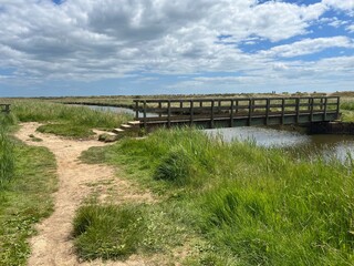 Beautiful landscape with wood bridge over waterway with reeds and sand path at nature reserve by the beach on East Anglia uk coastline at Walberswick Suffolk on Summer day with blue sky white cloud
