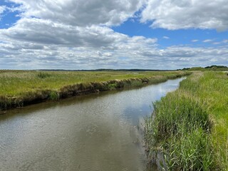 Beautiful landscape view of water ways running through nature reserve land with reeds growing by coast along beach at Walberswick Suffolk East Anglia uk on Summer day blue skies white cloud reflection