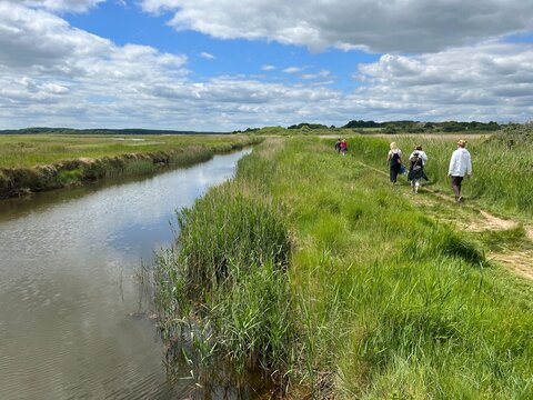 Beautiful landscape view of water ways running through nature reserve land with reeds growing by coast along beach at Walberswick Suffolk East Anglia uk on Summer day blue skies white cloud reflection