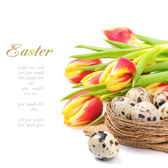 easter eggs and tulips
